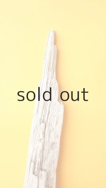 画像3: 変形流木 (3)