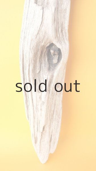 画像2: 変形流木 (2)