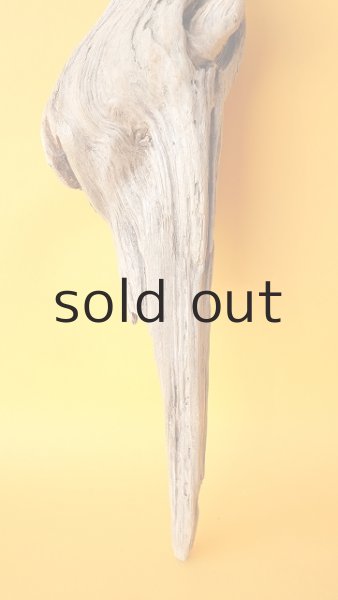 画像2: 変形流木 (2)