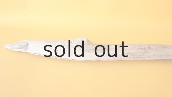 画像5: 変形流木 (5)