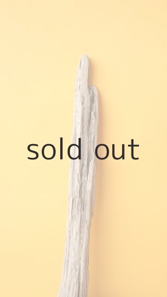 画像4: 変形流木 (4)