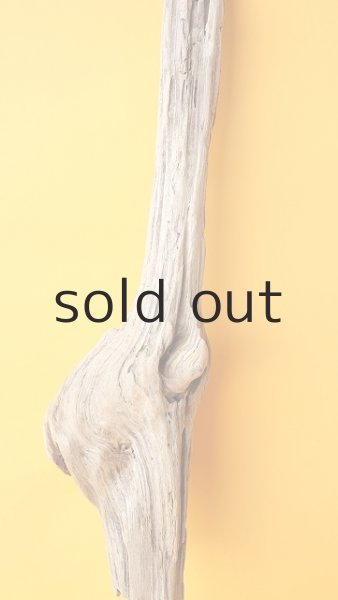 画像3: 変形流木 (3)