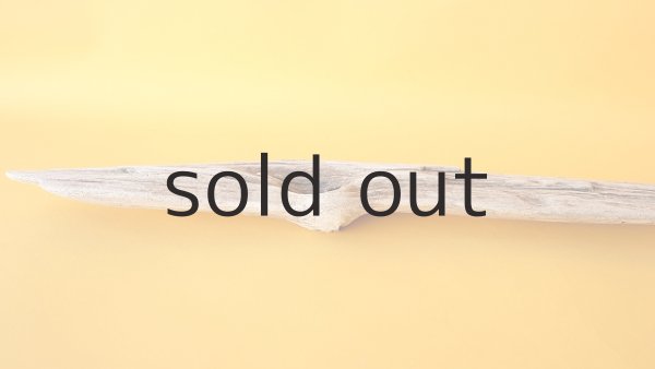 画像4: 変形流木 (4)