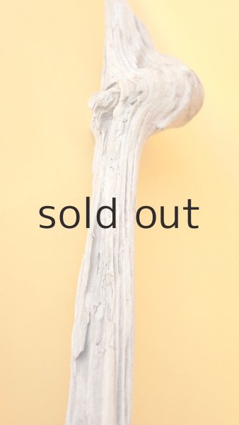 画像5: 変形流木 (5)