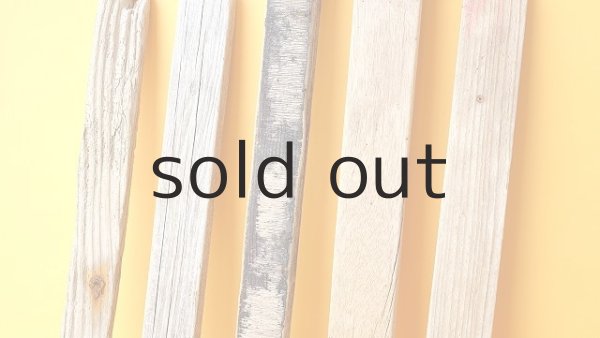 画像3: 板流木セット (3)