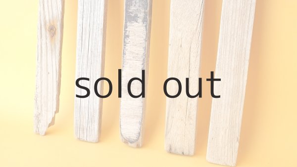 画像2: 板流木セット (2)