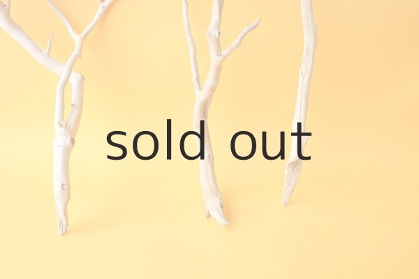 画像2: 小枝流木セット (2)