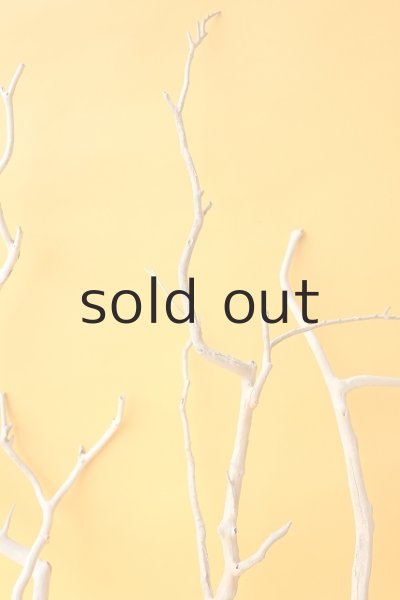 画像4: 小枝流木セット (4)