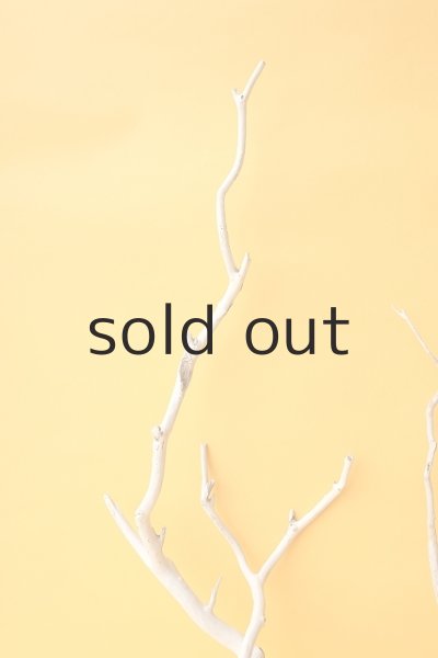 画像3: 小枝流木セット (3)