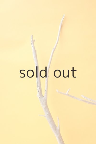 画像3: 小枝流木セット (3)