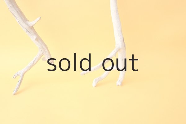 画像2: 小枝流木セット (2)