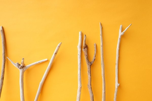 画像4: 小枝流木セット (4)