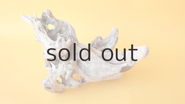 画像2: 変形流木 (2)