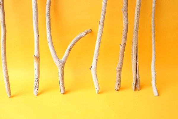 画像2: 小枝流木セット (2)