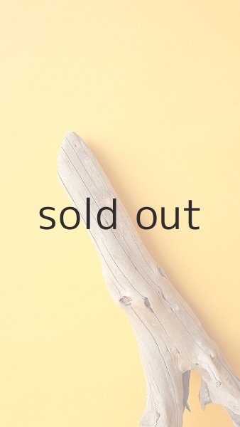 画像4: 流木根 (4)