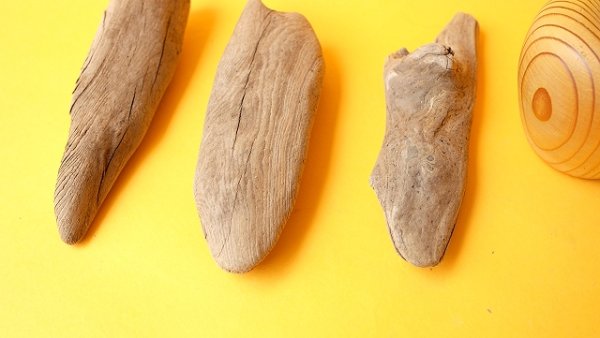 画像2: 変形流木セット (2)