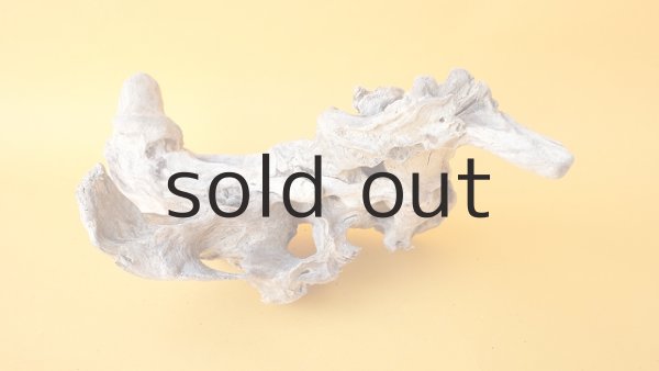 画像3: 変形流木 (3)