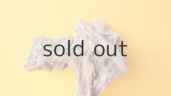 画像4: 変形流木 (4)