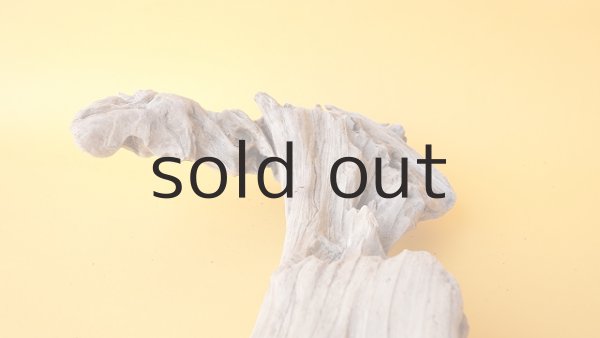 画像8: 変形流木 (8)