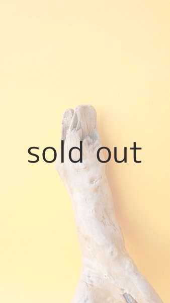 画像3: 流木根 (3)