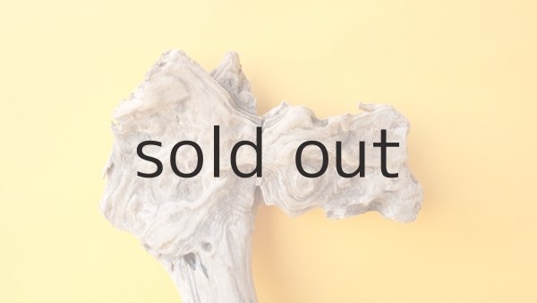 画像3: 変形流木 (3)