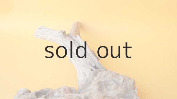 画像6: 変形流木 (6)