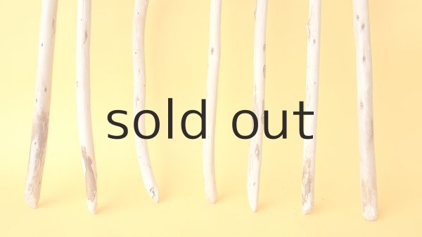 画像2: 棒流木セット (2)