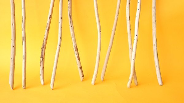 画像2: 棒流木セット (2)