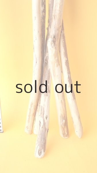 画像5: 棒流木セット (5)