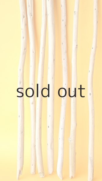 画像5: 棒流木セット (5)