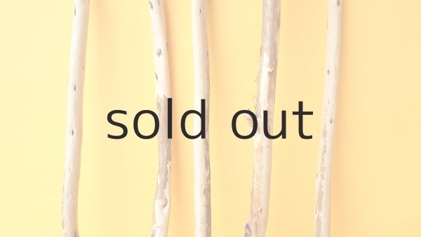 画像3: 棒流木セット (3)