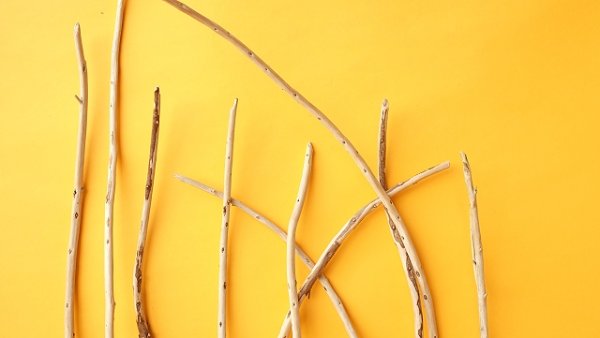 画像4: 棒流木セット (4)