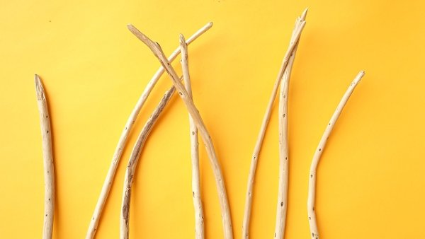 画像4: 棒流木セット (4)