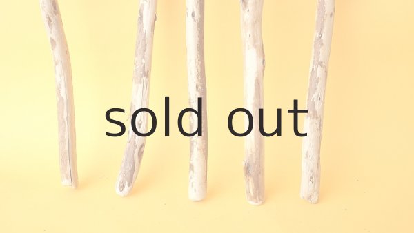 画像2: 棒流木セット (2)