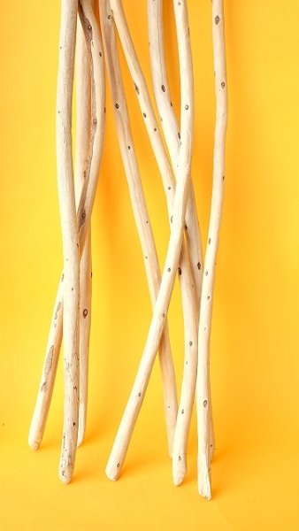 画像7: 棒流木セット (7)