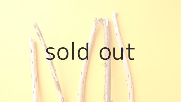 画像4: 棒流木セット (4)