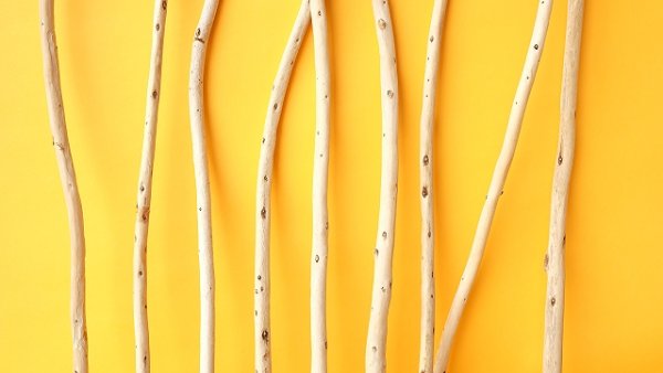 画像3: 棒流木セット (3)