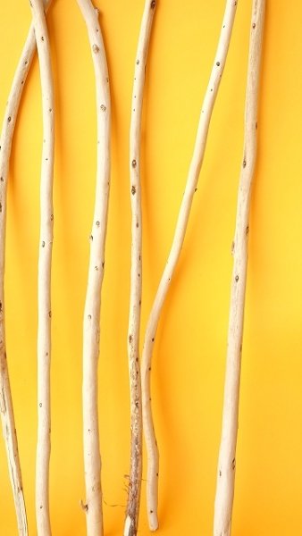 画像6: 棒流木セット (6)