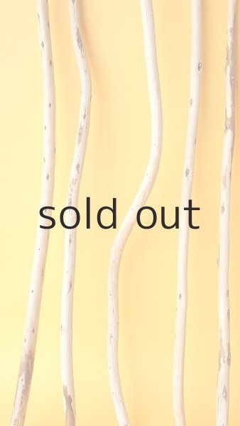 画像5: 棒流木セット (5)