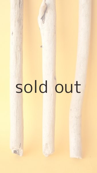 画像2: 棒流木セット (2)