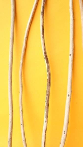 画像5: 棒流木セット (5)