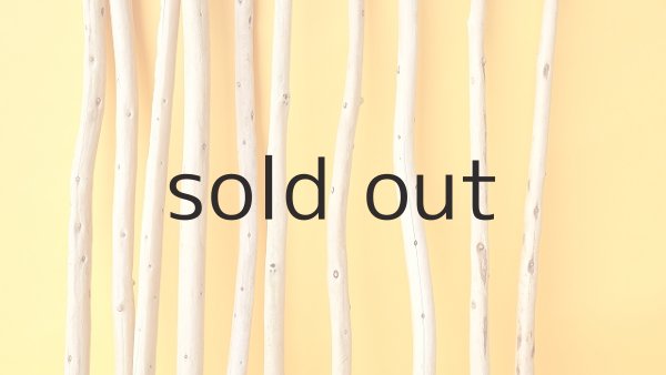 画像3: 棒流木セット (3)