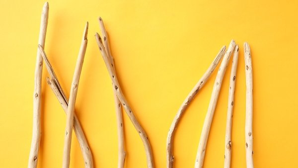 画像4: 棒流木セット (4)