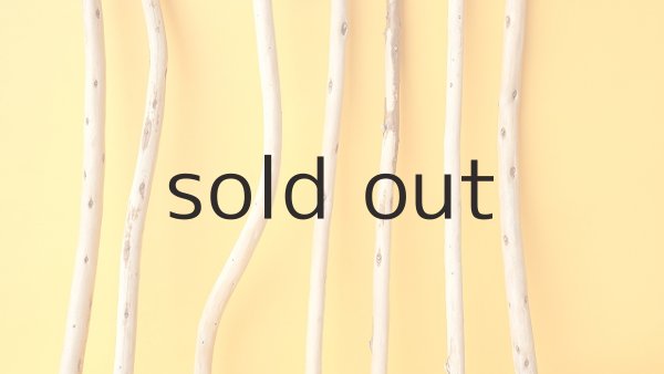 画像3: 棒流木セット (3)