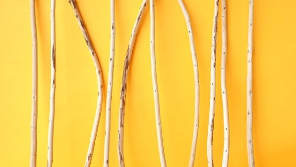 画像3: 棒流木セット (3)