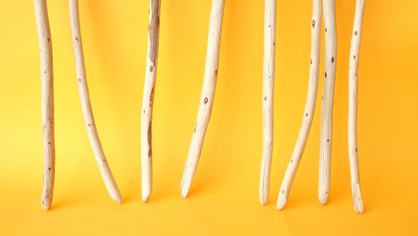 画像2: 棒流木セット (2)