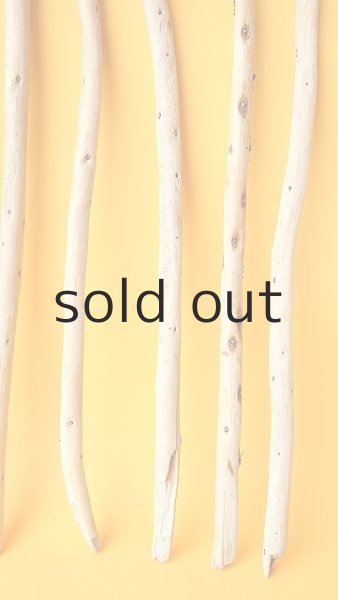 画像6: 棒流木セット (6)