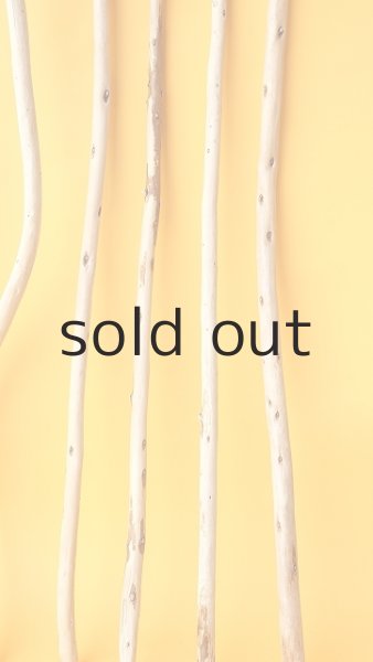 画像6: 棒流木セット (6)