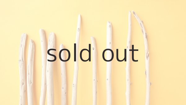 画像4: 棒流木セット (4)