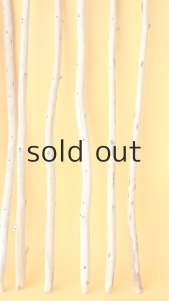 画像6: 棒流木セット (6)